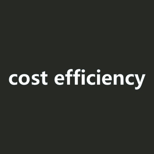 cost efficiency
